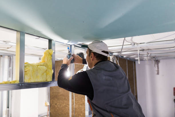 Best Insulation Maintenance and Repair in Rosebud, TX