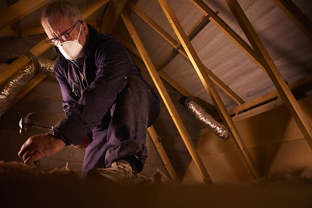 Best Eco-Friendly Insulation in Rosebud, TX