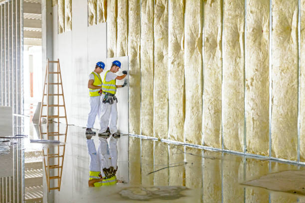Best Spray Foam Insulation in Rosebud, TX